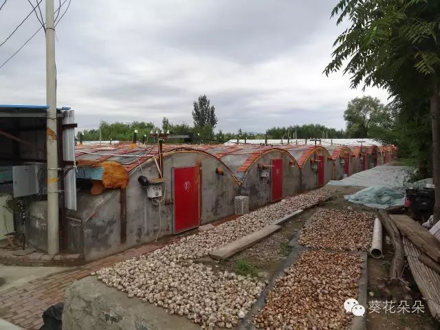 1679035288358888.jpg 微信圖片_20230317144127.jpg